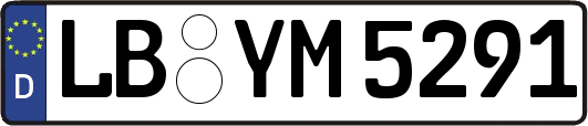 LB-YM5291