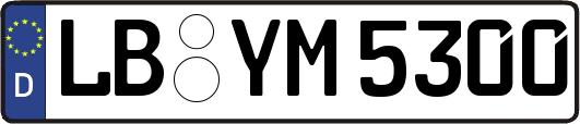 LB-YM5300