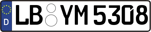 LB-YM5308