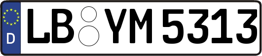 LB-YM5313