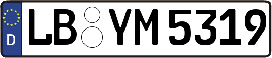 LB-YM5319