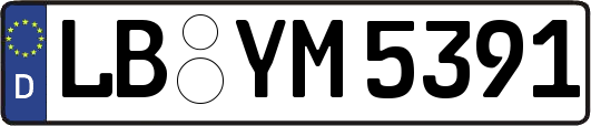 LB-YM5391