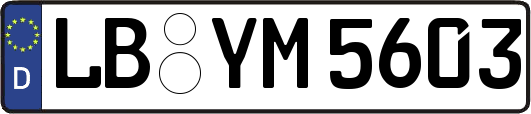 LB-YM5603