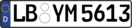 LB-YM5613