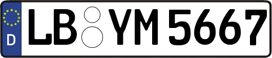 LB-YM5667
