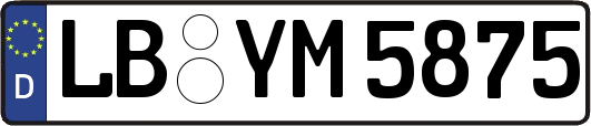 LB-YM5875