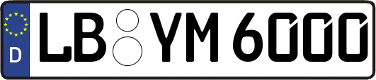 LB-YM6000