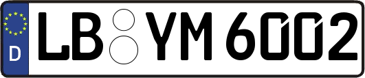 LB-YM6002