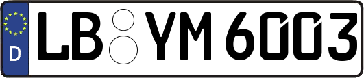 LB-YM6003