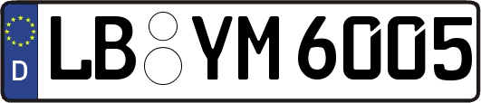 LB-YM6005