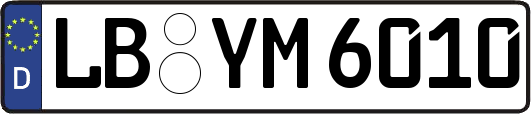 LB-YM6010