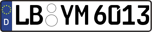 LB-YM6013