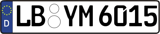 LB-YM6015