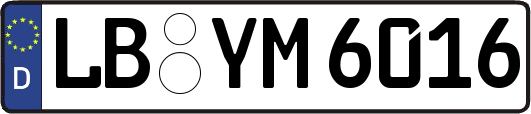 LB-YM6016