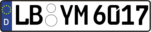 LB-YM6017