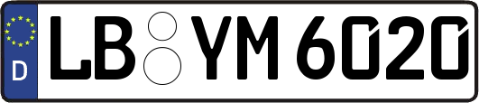 LB-YM6020