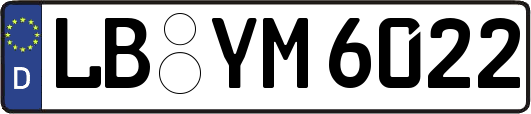 LB-YM6022