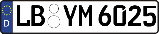 LB-YM6025