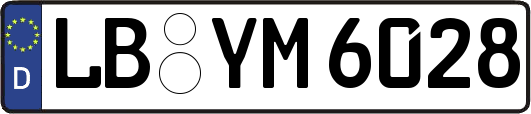 LB-YM6028
