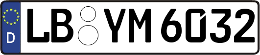 LB-YM6032
