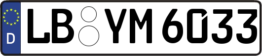 LB-YM6033
