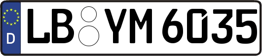LB-YM6035