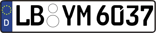 LB-YM6037