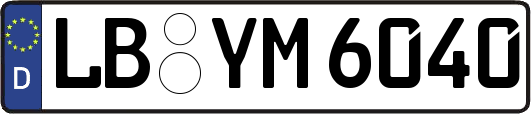 LB-YM6040