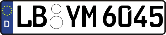 LB-YM6045