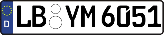 LB-YM6051
