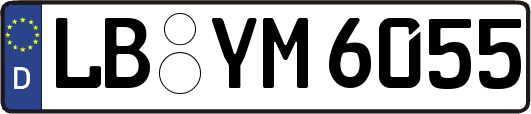 LB-YM6055