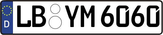 LB-YM6060