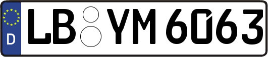 LB-YM6063