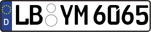 LB-YM6065