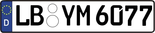 LB-YM6077