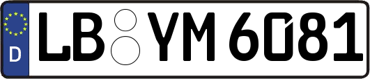 LB-YM6081