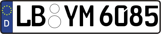 LB-YM6085