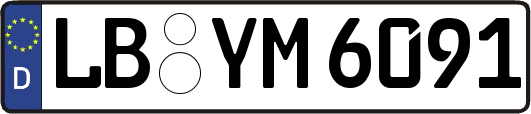 LB-YM6091