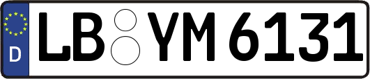 LB-YM6131