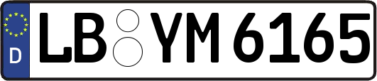 LB-YM6165