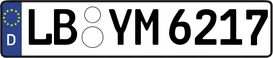 LB-YM6217