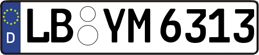 LB-YM6313