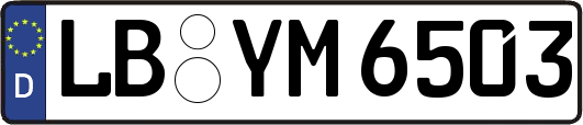 LB-YM6503