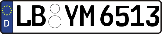 LB-YM6513
