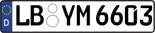 LB-YM6603