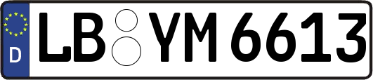 LB-YM6613