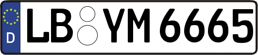 LB-YM6665