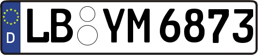 LB-YM6873