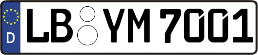 LB-YM7001
