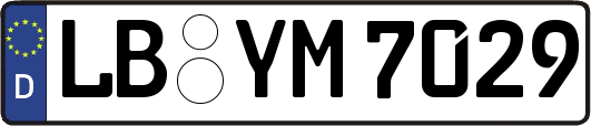 LB-YM7029